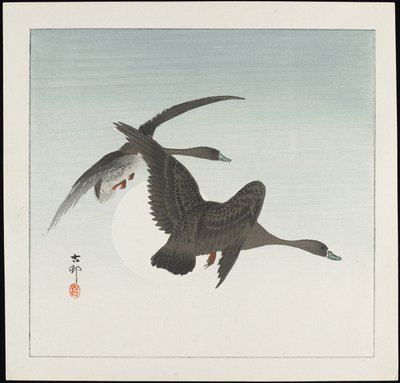 Gæs på flugt, før 1912 af Ohara Koson